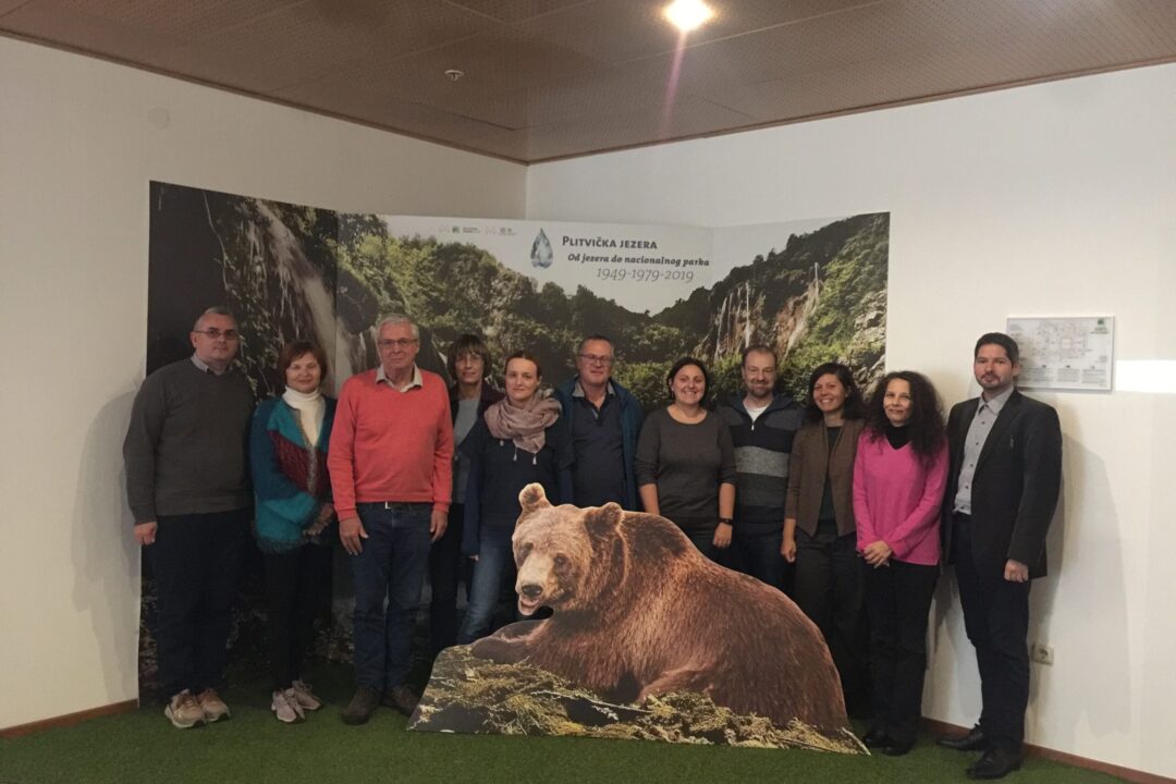 12th Steering Group Meeting