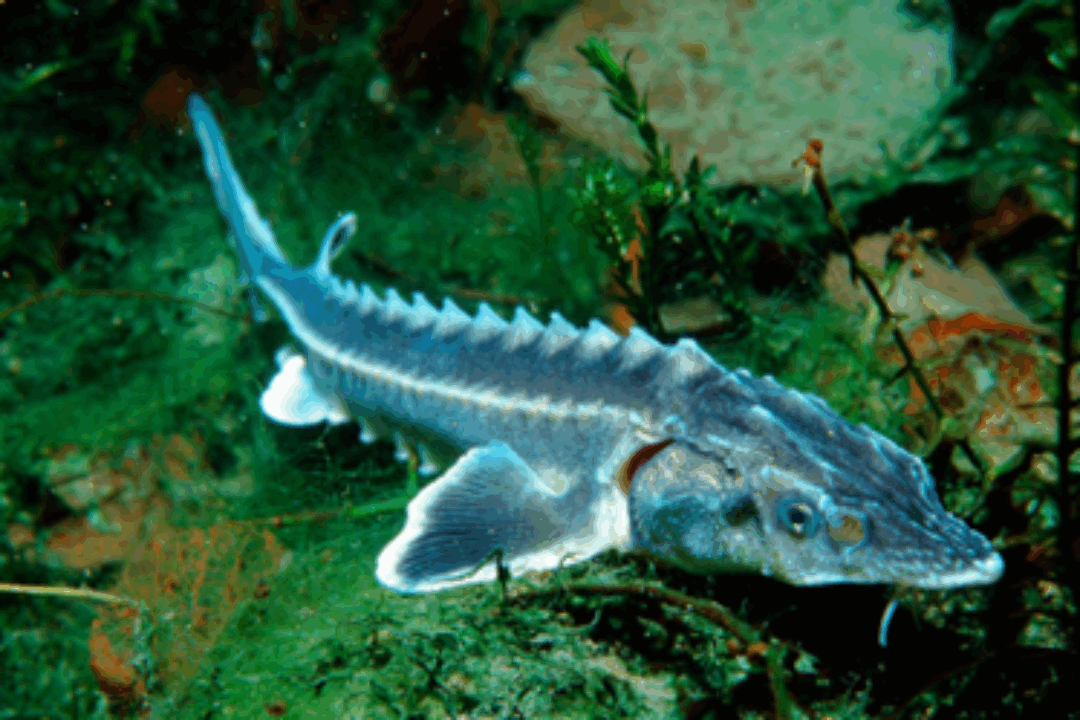 19th Meeting of the Steering group of the Priority Area 6