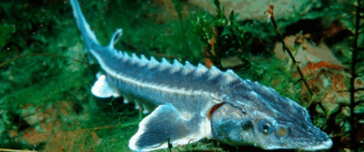 19th Meeting of the Steering group of the Priority Area 6