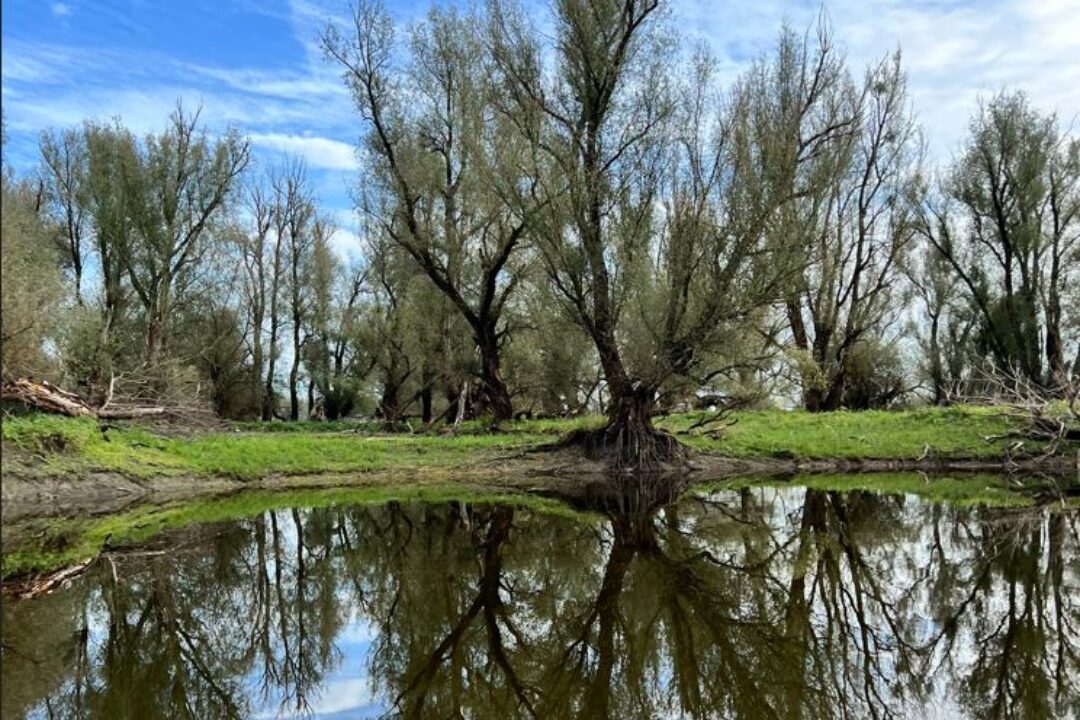 20th Meeting of the Steering group of the Priority Area 6