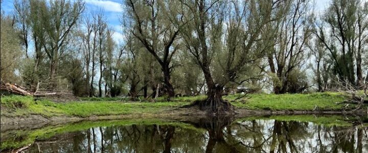 20th Meeting of the Steering group of the Priority Area 6