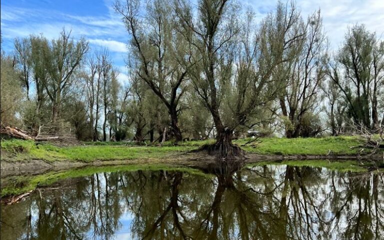 20th Meeting of the Steering group of the Priority Area 6