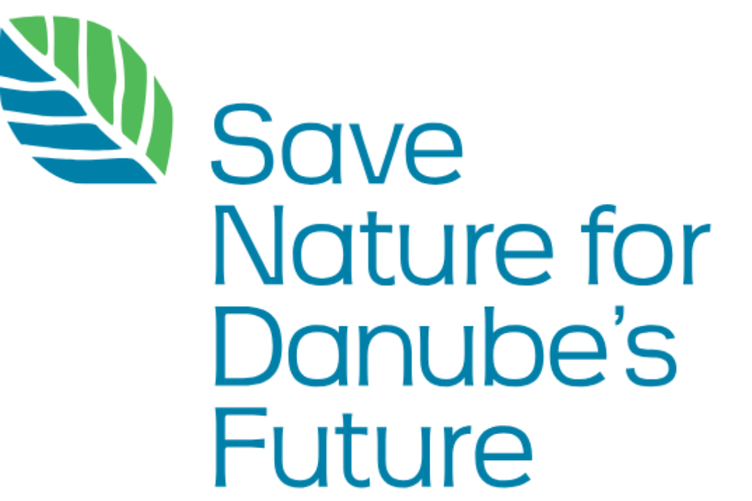 Additional visual elements and key messages for Priority Area 6