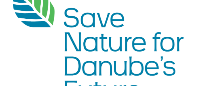 Additional visual elements and key messages for Priority Area 6