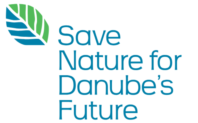 Additional visual elements and key messages for Priority Area 6